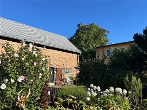 Ferielejlighed - 4 personer -  - Fritz-Behn-Straße - 17429 - Benz