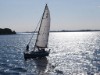 Billede 28