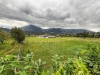 Bilde 2 - Ude