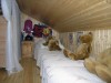 Bild 20 - Inde