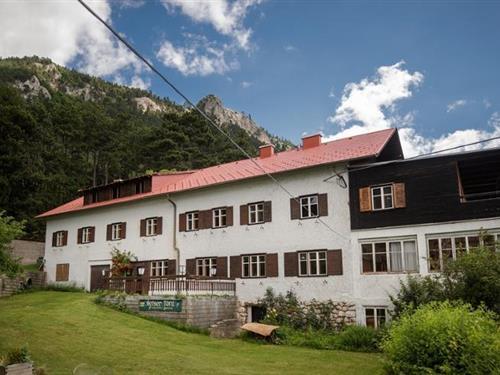 Semesterlägenhet - 2 personer -  - Theresiastollen - 2733 - Oberhöflein