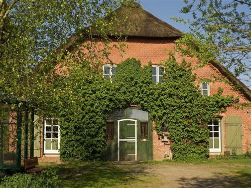 Ferielejlighed - 4 personer -  - Holm - 25878 - Drage