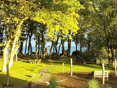 Ferielejlighed - 4 personer -  - Göhrener Weg - 18586 - Lobbe