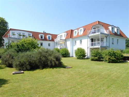 Holiday Home/Apartment - 6 persons -  - Ostseeallee - 23946 - Boltenhagen