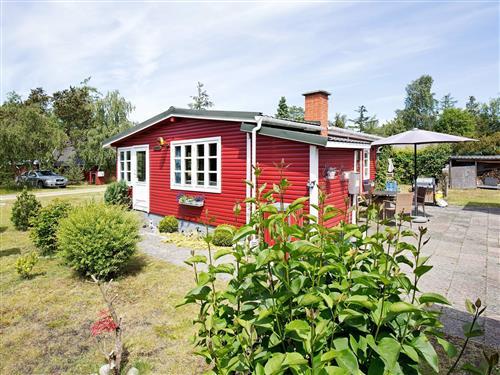 Ferienhaus - 8 Personen -  - Birkelundsvej - Ellinge Lyng - 4560 - Vig