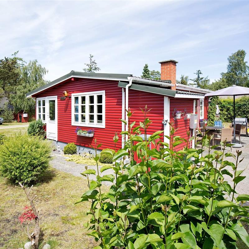 Sommerhus - 8 personer -  - Birkelundsvej - Ellinge Lyng - 4560 - Vig