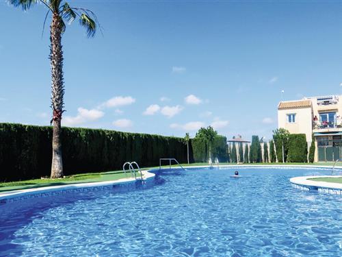Ferielejlighed - 4 personer -  - C/Chiva - 03184 - Torrevieja