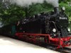 Billede 25