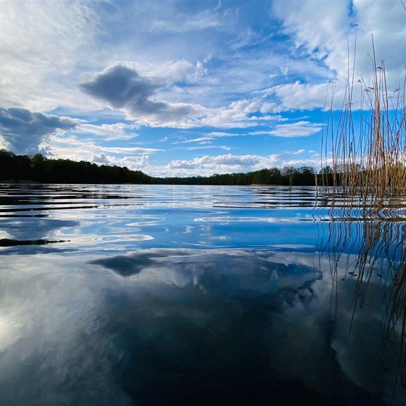 Sommerhus - 5 personer -  - Schorfheide - 16244