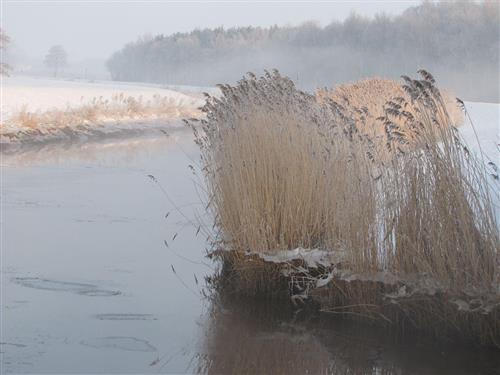 Ferielejlighed - 5 personer -  - Idafehn-Nord - 26842 - Ostrhauderfehn