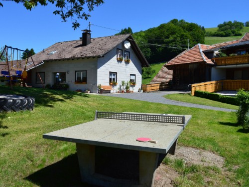 Ferielejlighed - 4 personer -  - Künaberg - 79677 - Fröhnd