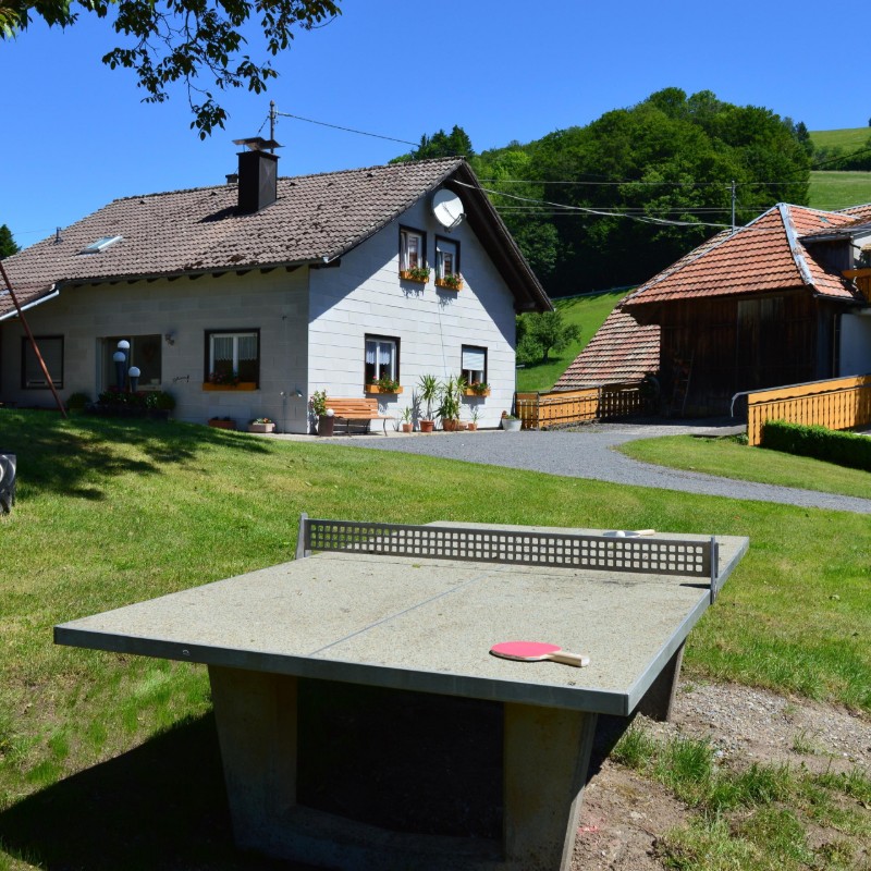 Ferielejlighed - 4 personer -  - Künaberg - 79677 - Fröhnd