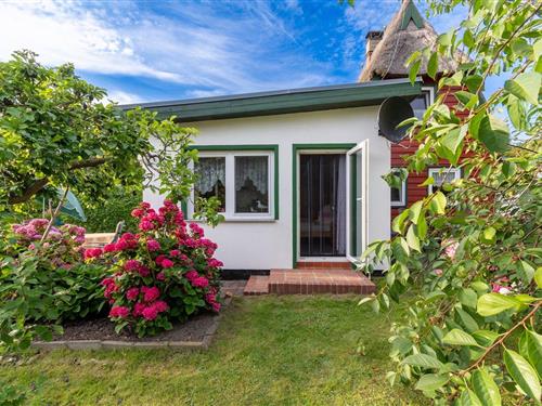 Ferieleilighet - 2 personer -  - Südkaten - 18375 - Wieck A. Darß