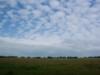 Afbeelding 23