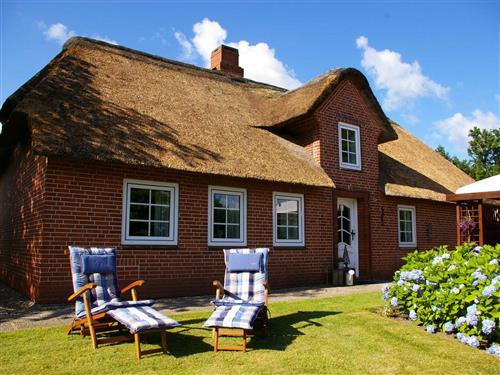 Ferienhaus - 8 Personen -  - Klockries - 25920 - Risum-Lindholm