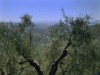 Image 10 - Outside
