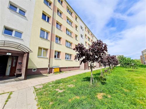 Ferielejlighed - 4 personer -  - Matejki - 72-600 - Swinoujscie-Swinemünde