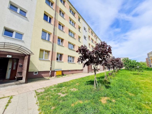 Ferieleilighet - 4 personer -  - Matejki - 72-600 - Swinoujscie-Swinemünde