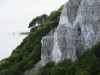 Image 24