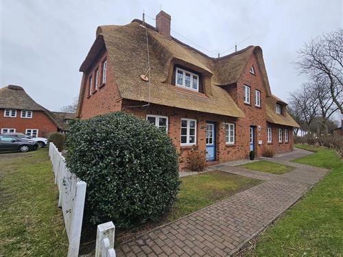 Ferieleilighet - 4 personer -  - Hauptstraße - 25938 - Alkersum