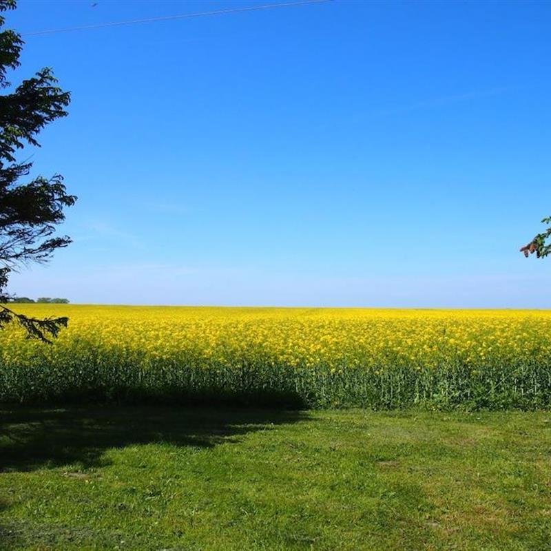 Sommerhus - 4 personer -  - 18569 - Gingst