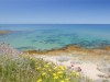 Bild 13