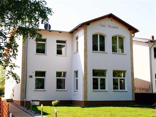 Ferienhaus - 2 Personen -  - Waldstraße - 17459 - Zempin