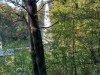 Bild 32