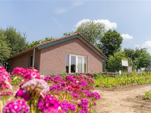 Ferienhaus - 5 Personen -  - 5954NJ - Beesel