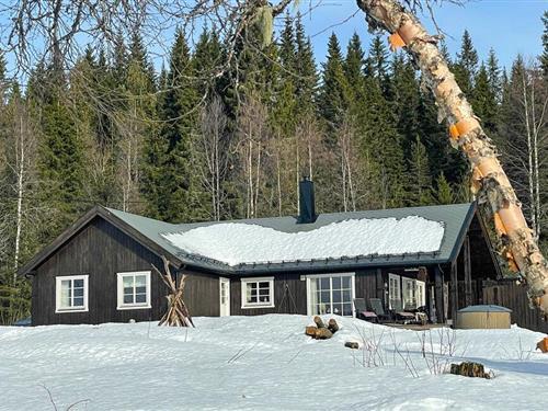 Sommerhus - 8 personer -  - Flendalsvegen - 2420 - Trysil