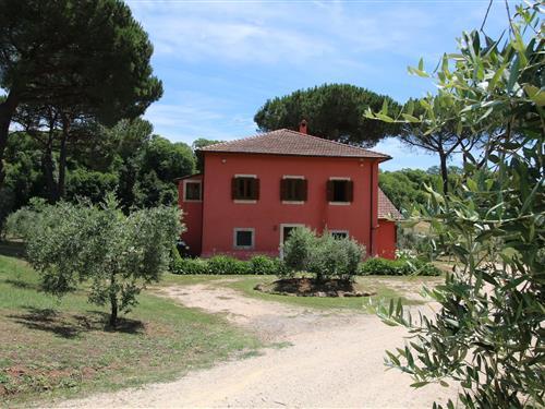 Holiday Home/Apartment - 12 persons -  - 00066 - Manziana