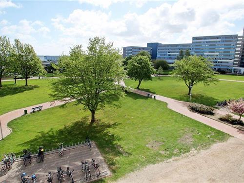 Ferieleilighet - 4 personer -  - Ostseeferienpark - 23774 - Heiligenhafen