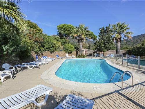 Sommerhus - 8 personer -  - 83230 - Bormes Les Mimosas