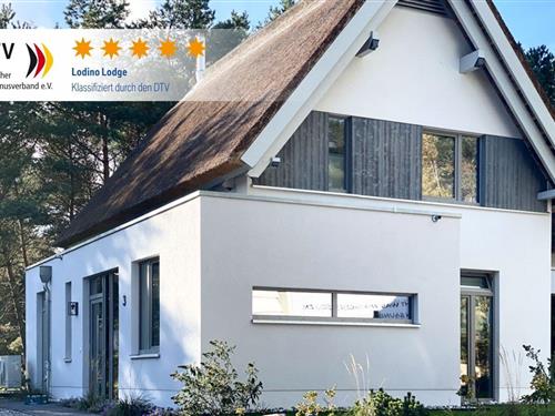 Holiday home - 6 persons -  - Straße der Deutschen Einheit - 17459 - Loddin