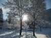 Bild 46