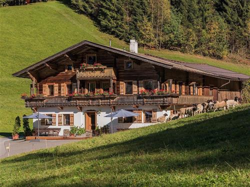 Bauernhof - 4 Personen -  - Auwinkl - 6352 - Ellmau