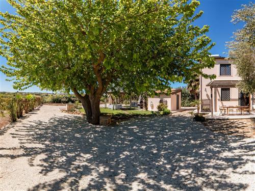 Ferielejlighed - 8 personer -  - Calabernardo - 96017