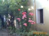 Billede 3
