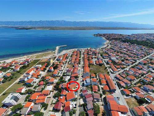 Holiday Home/Apartment - 3 persons -  - Vir - 23234 - Vir