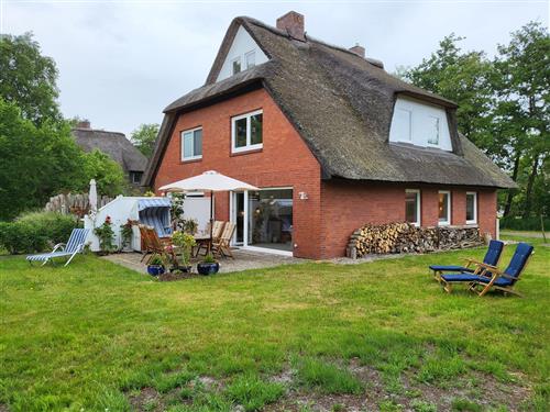 Ferienhaus - 4 Personen -  - Hummergrund - 25826 - St. Peter-Ording