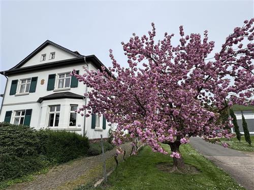 Sommerhus - 4 personer -  - Klosterbergstr. - 54459 - Wiltingen