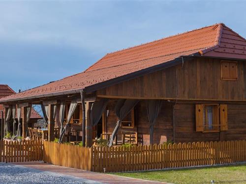 Holiday home - 9 persons -  - PLEŠKOVEC - 40311 - Lopatinec