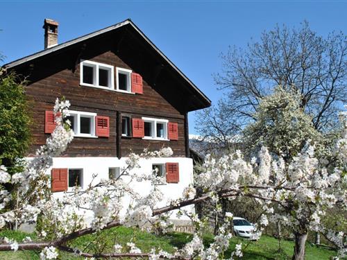 Holiday Home/Apartment - 8 persons -  - Fir - 7127 - Seewis