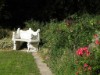 Bild 43