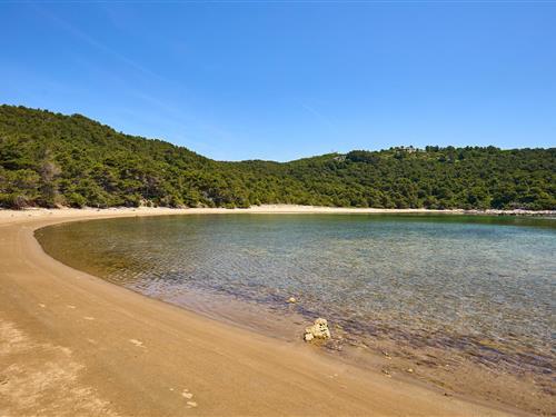 Sommerhus - 2 personer -  - Saplunara - Mljet-Saplunara - 20224 - Saplunara