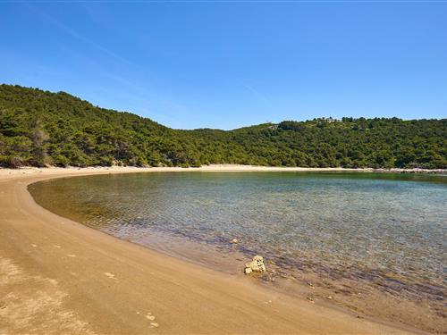 Holiday apartment - 2 persons -  - Saplunara - Mljet-Saplunara - 20224 - Saplunara