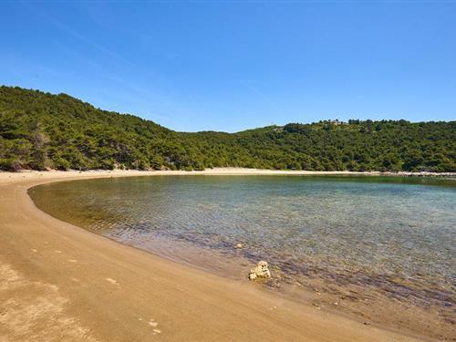 Ferieleilighet - 2 personer -  - Saplunara - Mljet-Saplunara - 20224 - Saplunara