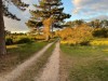 Billede 31 - Område