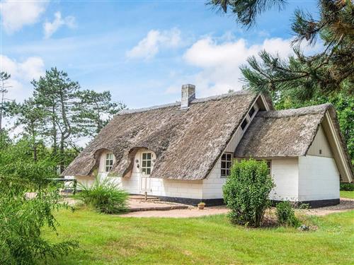 Sommerhus - 5 personer -  - Fyrrealle - Lodbjerg Hede - 6950 - Ringkøbing