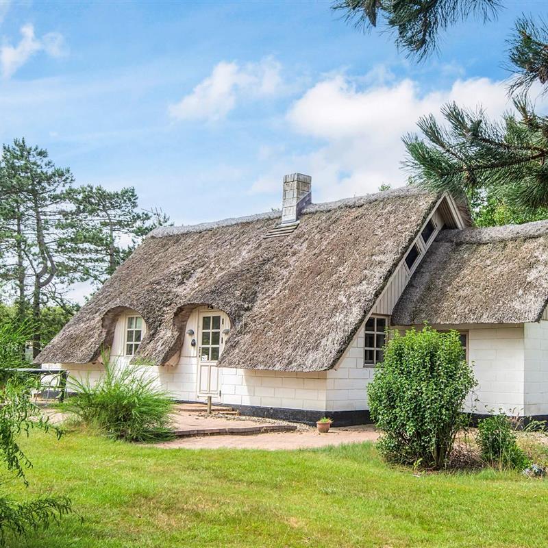 Ferienhaus - 5 Personen -  - Fyrrealle - Lodbjerg Hede - 6950 - Ringköbing